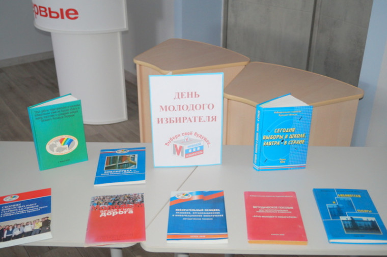 День молодого избирателя в Кашарской средней общеобразовательной школе. День молодого избирателя в Кашарской средней общеобразовательной школе.